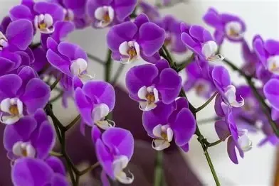 手に職をつける仕事ここに・・富山のエス・ティー美装へ